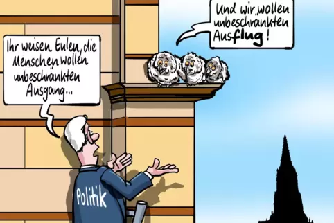 eulen kopie