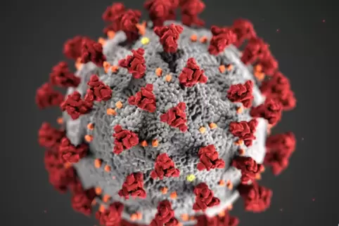 Das Coronavirus 