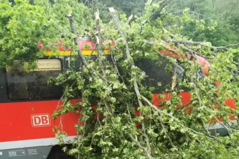 Verletzt wurde bei dem Unfall niemand, so die Polizei.