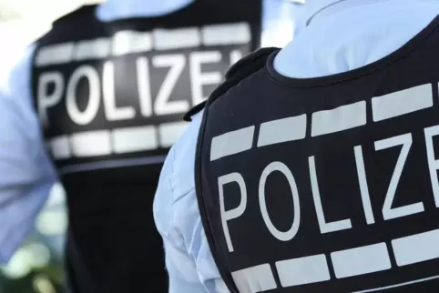 Die Speyerer Polizei hat zum Beispiel für Römerberg im Jahr 2019 mehr Straftaten registriert als 2018.