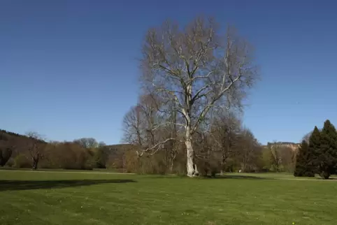 Unter freiem Himmel sind Veranstaltungen mit bis zu 100 Personen bald wieder erlaubt.