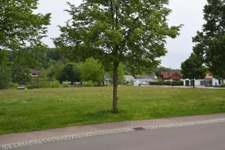 Auf diesem kommunalen Grundstück am Spießwiesenpark in Bruchweiler-Bärenbach könnte nach dem Vorschlag des Verbandsbürgermeister