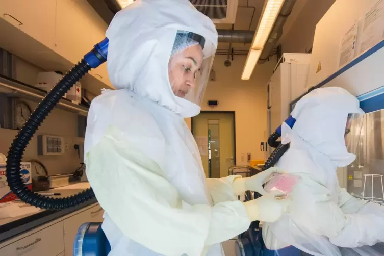 Die Forschung am Coronavirus, hier im Barunschweiger im Helmholtz-Zentrum für Infektionsforschung, läuft weltweit auf Hochtouren