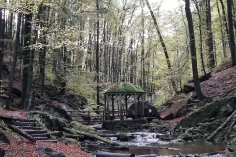 Atemberaubendes Stückchen wilde Landschaft im Landkreis: die Karlstalschlucht.