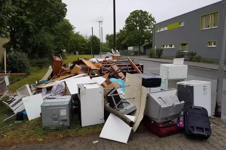 Illegale Müllentsorgung in Ludwigshafen. 