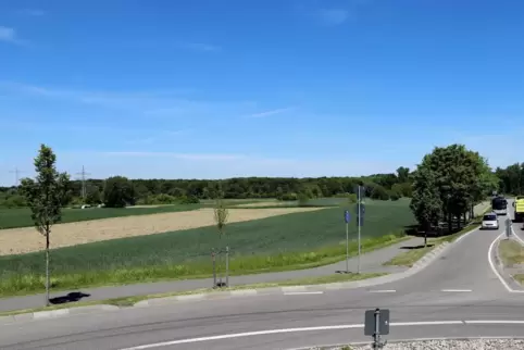Wo jetzt Ackerland ist, soll ein interkommunales Gewerbegebiet entstehen. 