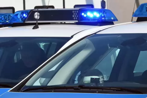 Die Autobahnpolizei stoppte den Laster schließlich. 