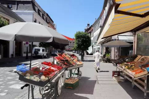 Mal eben schnell zum Einkaufen nach Weißenburg? Das darf derzeit nicht der Grund sein, um nach Frankreich einzureisen.