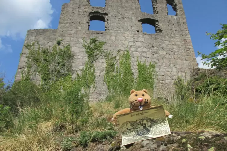 Die Fassade von Burg Falkenstein. In der Hand hält Nils Nager eine Postkarte, auf der man sehen kann, wie die Festung 1645 ausge