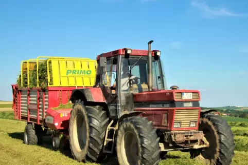 Über die Güte seines Grünfutters für die Silagemieten ist Landwirt Steffen Sewohl aus Battweiler erfreut. 