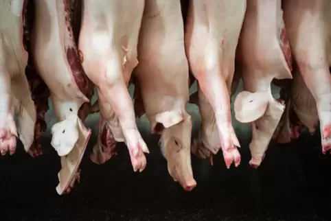 Halbierte Schweine hängen in einem Schlachthof in Niedersachsen. Niedersachsen testet sämtliche Schlachthofmitarbeiter auf das C