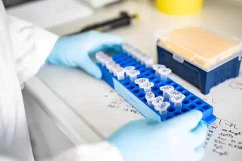 Ein Doktorand der Heinrich-Heine-Universität Düsseldorf arbeitet an Proben für die Coronavirus-Forschung. Die Forschungsprojekte