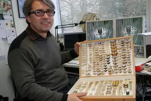  Schmetterlingsexperte Robert Trusch warnt vor dem Insektensterben und fordert mehr Rückzugsgebiete . 