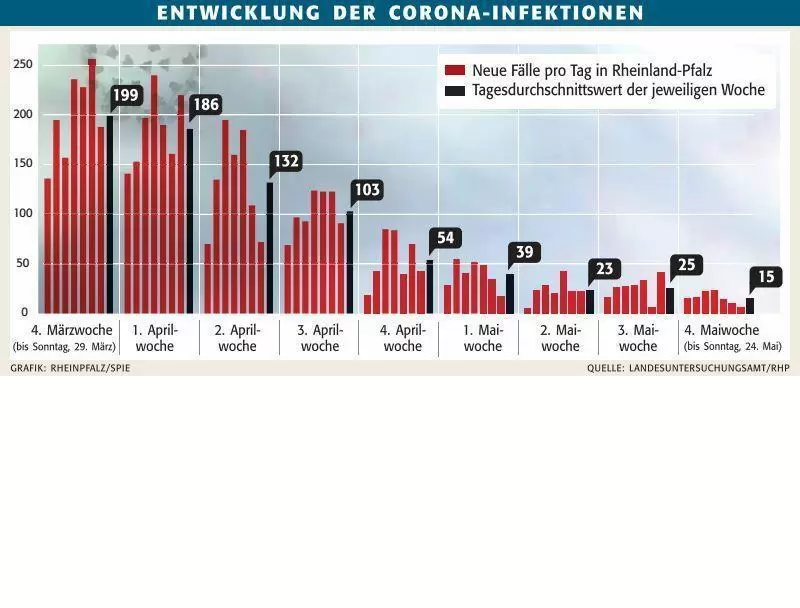 swzwochenschnitt24.5