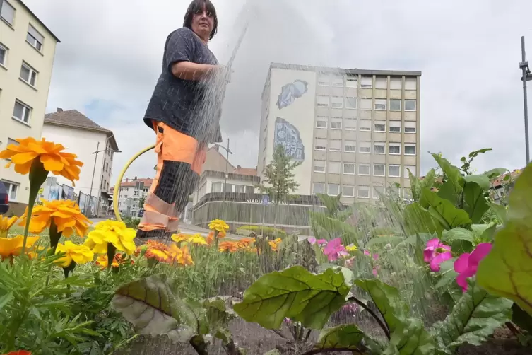 Jede Menge Blumen und Gemüse in der Stadt: hier am Robert-Schelp-Platz Mitarbeiterin Anke Meyer