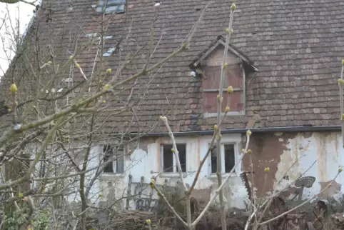 Hoher historischer Wert, katastrophale Bausubstanz: Die Gemeinde Geiselberg bietet das unter Denkmalschutz stehende ehemalige Ta