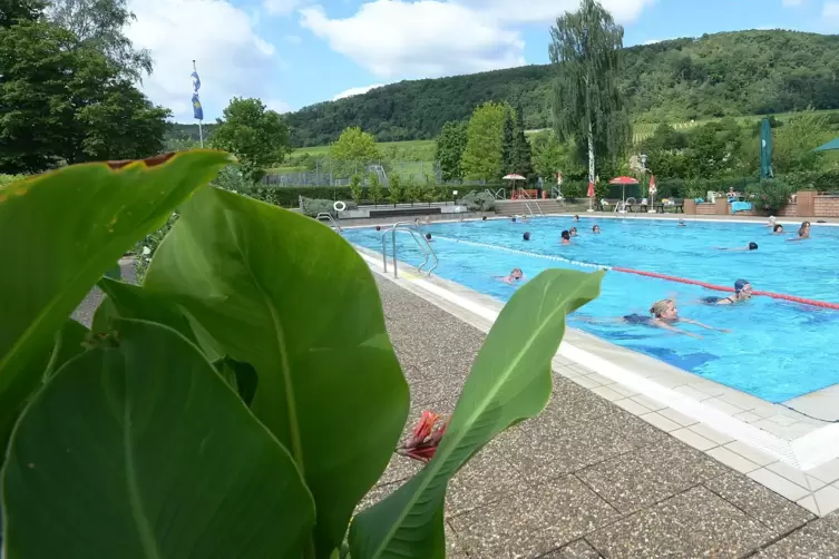 Corona und Sanierung gleichzeitig: das Deidesheimer Bad. 