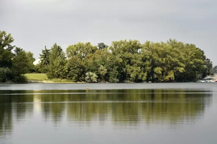 Auf der Halbinsel Scharrau darf kein Hotel gebaut werden. Der Silbersee ist landesweit der bedeutendste R&uuml;ckzugsort f&uuml;r Wasserv&ouml;
