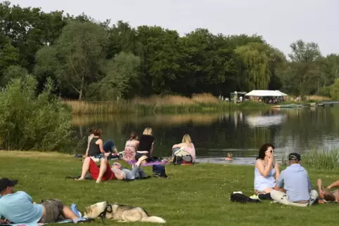 Im Lambsheimer Weiher kann seit Freitagmittag wieder geschwommen werden. 