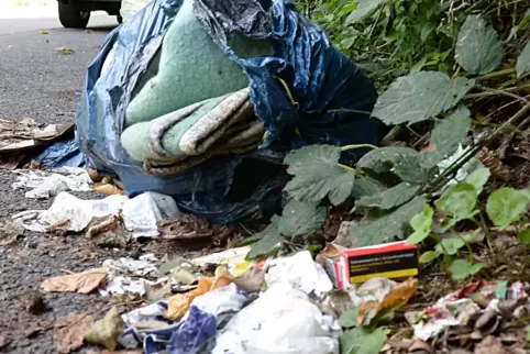 Eine Schweinerei im Stadtgebiet: In und um Neustadt fallen alljährlich zig Tonnen illegal entsorgten Abfalls an. 