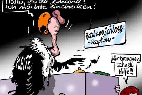 Den Pleitegeier hat die Stadt 2011 abgewendet, indem sie das Rockenhausener Schlosshotel von der Insolvenz-bedrohten GmbH überno Den Pleitegeier hat die Stadt 2011 abgewendet, indem sie das Rockenhausener Schlosshotel von der Insolvenz-bedrohten GmbH überno