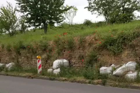 Seit Monaten liegen die Säcke vor der Mauer an der Straße. 