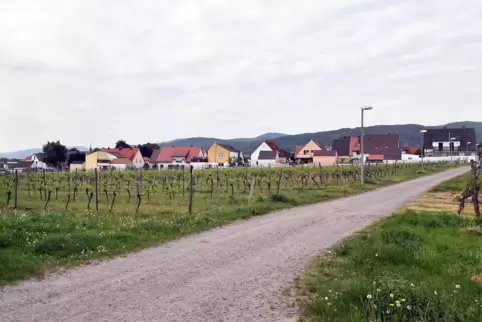 Das Neubaugebiet soll an der alten Bebauung anschließen. 