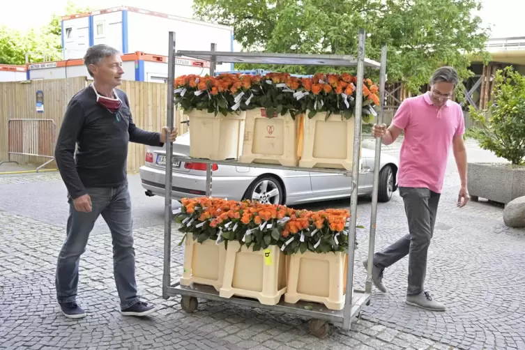 Die Lukom-Mitarbeiter Markus Lemberger (links) und Dieter Jung karren die Rosen an, die als kleine Entsch&auml;digung an Anwohner ver