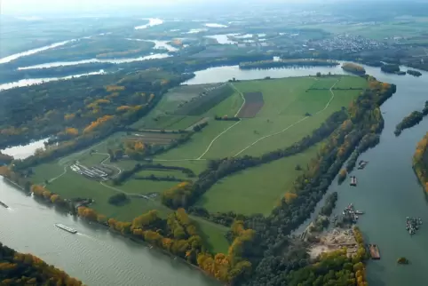 Aus der Luft fotografiert: die Kollerinsel, ein beliebtes Naherholungsgebiet, das trotz seiner linksrheinischen Lage zu Baden-Wü