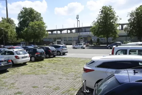 Erich-Reimann-Straße, Höhe Haupteingang Südwest-Stadion: Hier können sich die Grünen den Bau einer Kita vorstellen. Dafür müsste