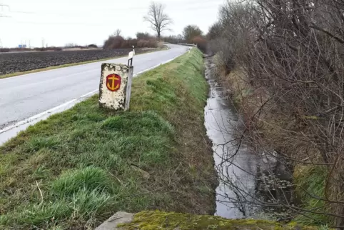 Die L 525 zwischen Ruchheim und Fußgönheim gilt als eng, kurvig und damit gefährlich.