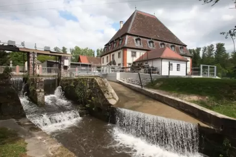 Auch für den Ortsteil Bienwaldmühle ist es wünschenswert schnelles Internet zu erhalten. 