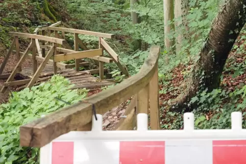 Bei einer Begehung am Freitag wurden weitere Schäden an den Geländern entdeckt – und ein Borkenkäfer-Befall der Fichten. Bei einer Begehung am Freitag wurden weitere Schäden an den Geländern entdeckt – und ein Borkenkäfer-Befall der Fichten.