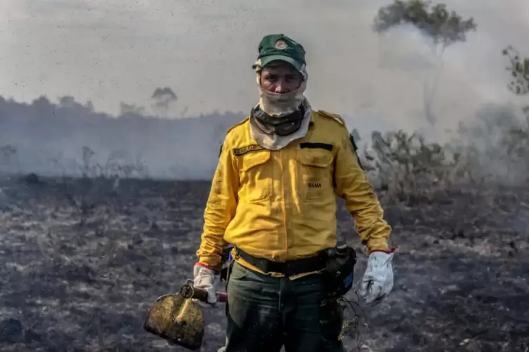  Apokalytische Landschaft: Ein Mitarbeiter des Ibama, der brasilianischen Umweltbehörde, steht in einem von einem Brand zerstört