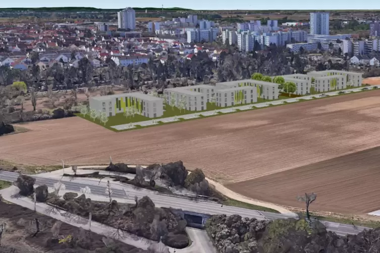 Die neuen Häuser sollen nördlich des Oggersheimer Friedhofs direkt an der Grenze zu Frankenthal gebaut werden. 