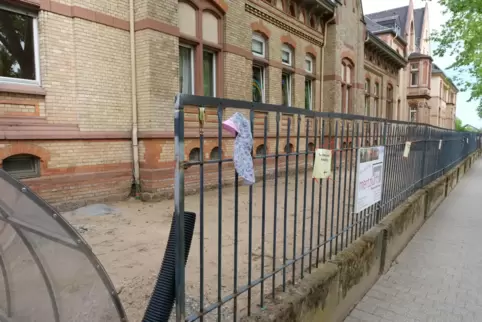 Vorgarten der Kita Rulandstraße: von Wildbienen keine Spur mehr. 