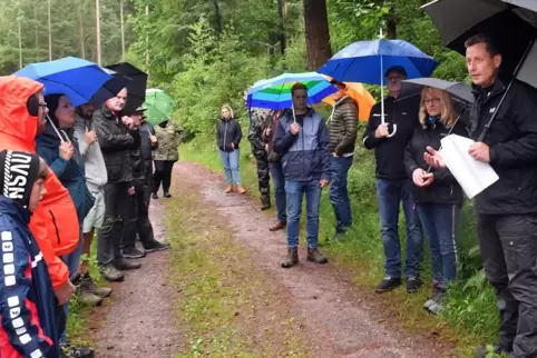 Revierförster Rainer Northoff (rechts) erklärt den Kirrweilerer Gemeinderatsmitgliedern, was außer dem Klimawandel noch dem Holz