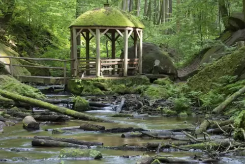 Karlstalschlucht Trippstadt.