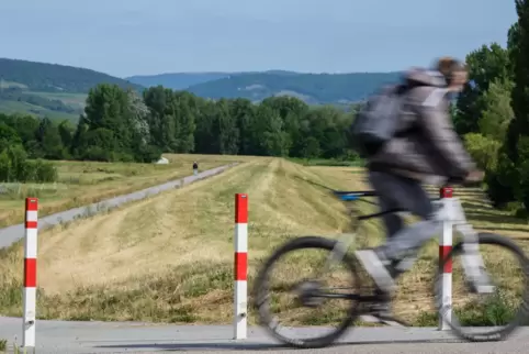 Ein Radweg führt auf dem Rheinhauptdeich entlang. 
