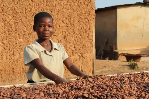Ein Mädchen im Süden der Elfenbeinküste hilft dabei, geerntete Kakaobohnen in der Sonne zu trocknen.