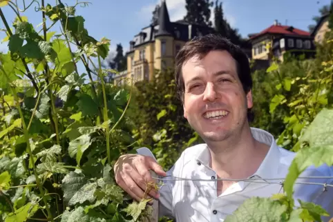 Bastian Klohr in der Monopollage der Weinbiet Manufaktur, dem Haardter Schlossberg. Hier wächst ausschließlich Riesling. 