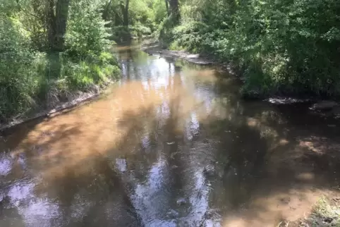 Teilung: der Speyerbach östlich Dudenhofens.