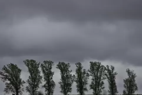 In Rheinland-Pfalz werden die kommenden Tage regnerisch. 