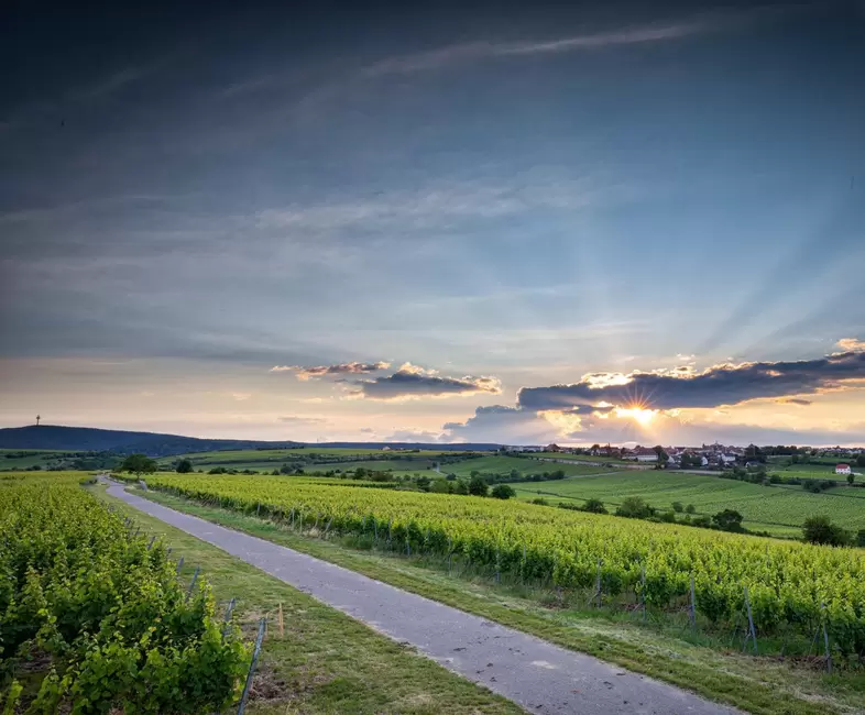 Diesen stimmungsvollen Sonnenuntergang bei Freinsheim hat André Straub bei einer Bike-Rundfahrt aufgenommen, wie er schreibt.