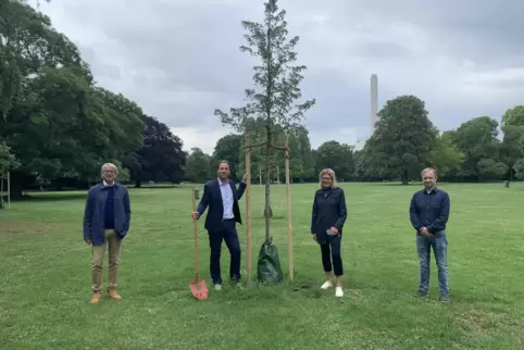 Eine der Baumspenden im Ebertpark.