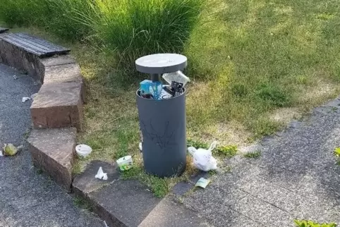 Im Campus-Park auf der Husterhöhe wird gerne gefeiert, aber die Mülleimer nicht immer geleert. 