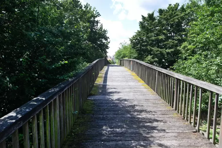 Ist mittlerweile von einem Ingenieurbüro eingehend untersucht worden: die Fußgänger- und Radfahrerbrücke in Lingenfeld, die die 