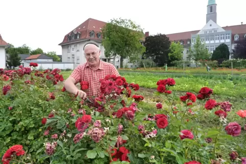 Jürgen Strebel bei der Arbeit: „Ein Garten ist der Bereich der Schöpfung, den ich mitgestalten kann“, sagt er.