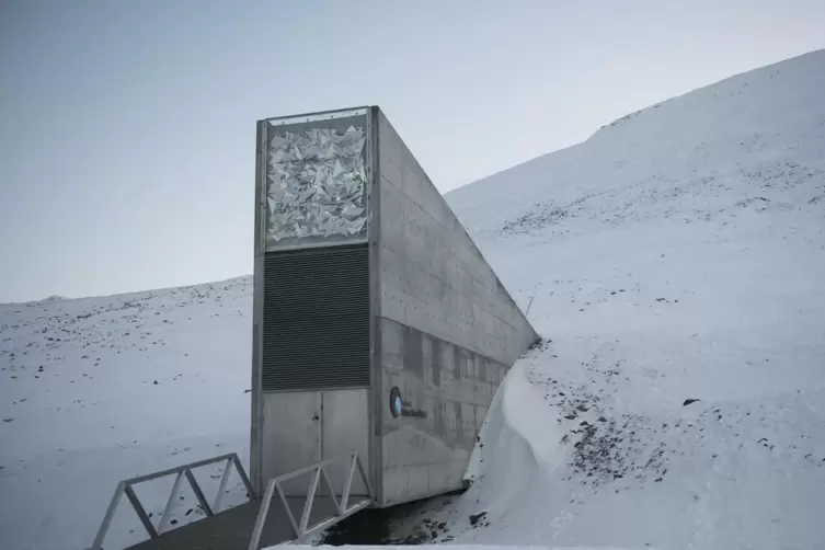 Futuristisch mutet der Eingang zum Lager der Saatgutbank auf Spitzbergen an. Dort sind Samenproben von 1,1 Millionen Nutzpflöanz