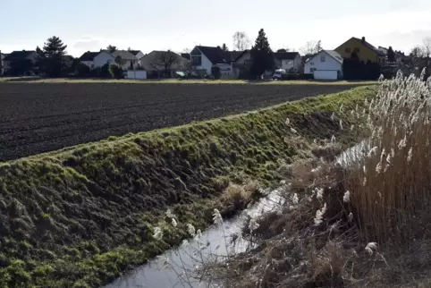 Östlich von Eppstein soll die Verbindung vom Neugraben in die Isenach – hier auf Höhe der Brahmsstraße – münden.